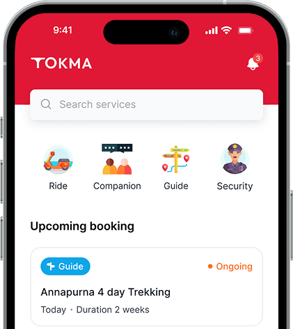 tokma-phone-layout